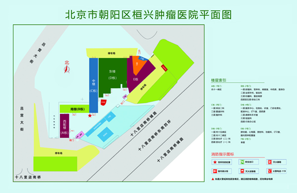 大鸡吧插入蜜穴视频北京市朝阳区桓兴肿瘤医院平面图